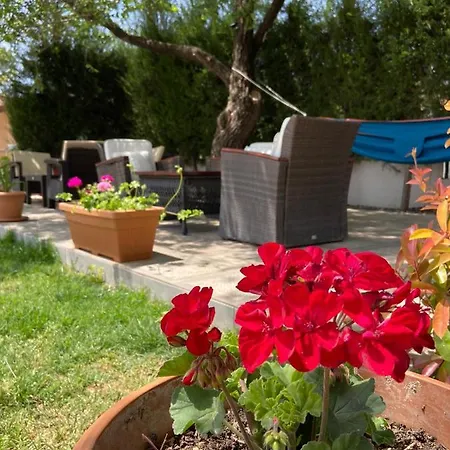 شقة فندقية Safak Apart & *